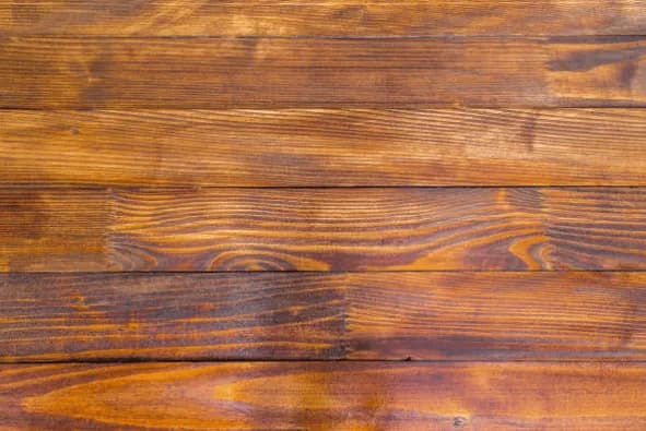 image-asset (2).webp