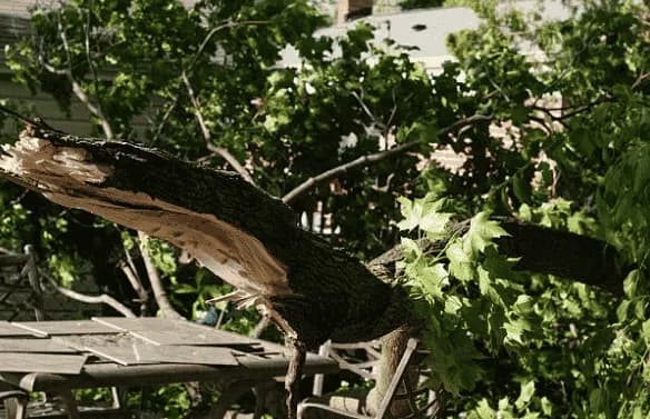 image-asset (42).webp