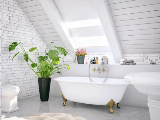 image-asset (66).webp