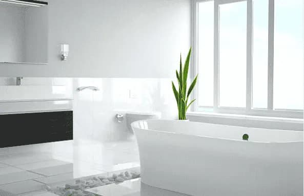 image-asset (92).webp