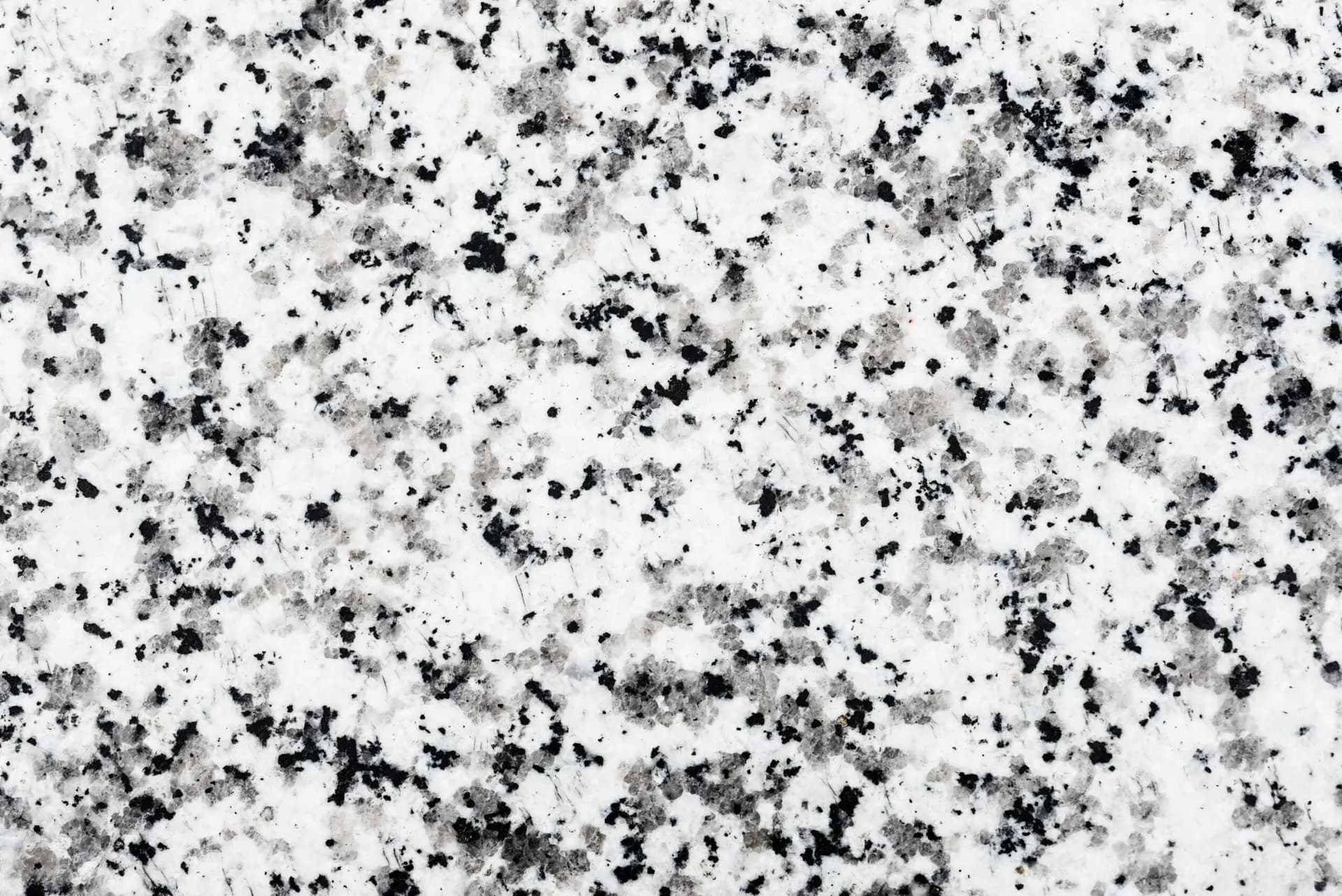 image-asset - 2026-02-21T192813.758.webp